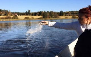 woman scattering cremains over water from a boat